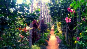 Kemmanagundi Resort - Garden Walkway