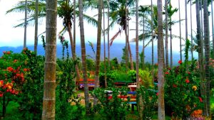 Kemmanagundi resort - Bonfire area