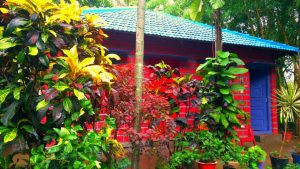 Kemmanagundi resort - cottages