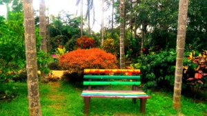 Kemmanagundi resort garden bench