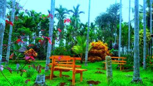 Kemmanagundi resort park benches