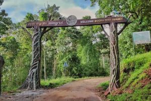 Bhadra wildlife sanctuary