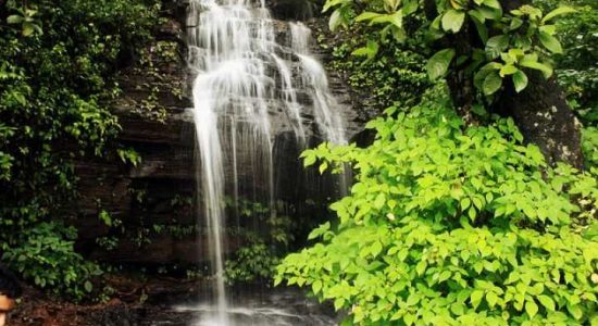 Shanti falls Kemmanagundi